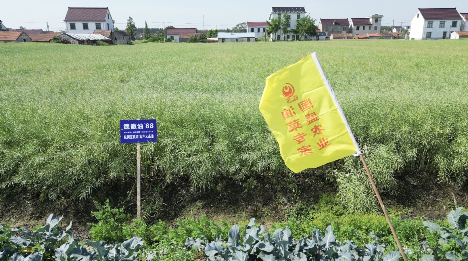 微信圖片_20250522095721